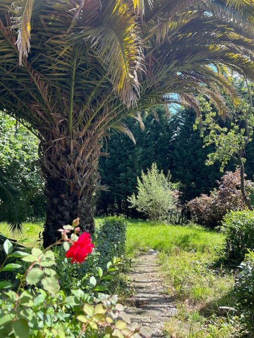 فيلا La Casona De La Carbayeda اوفيدو المظهر الخارجي الصورة