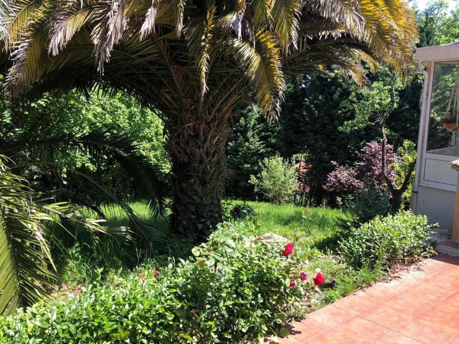 فيلا La Casona De La Carbayeda اوفيدو المظهر الخارجي الصورة